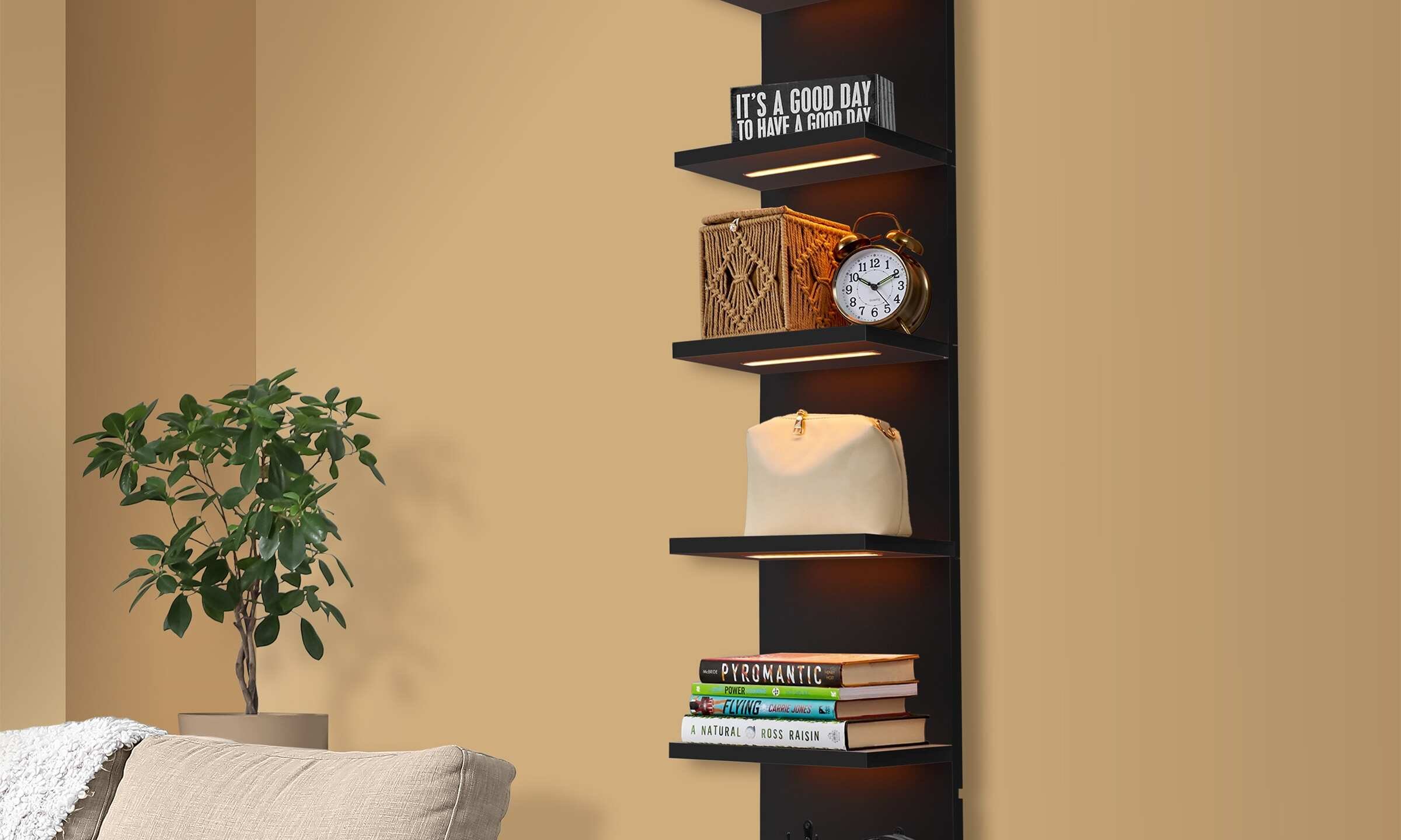 Wall-mounted Display Shelf